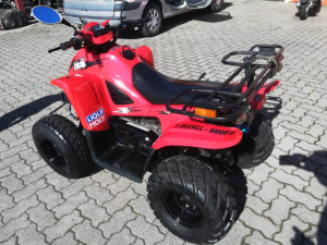 Dinli Spezial 50 Kinderquad