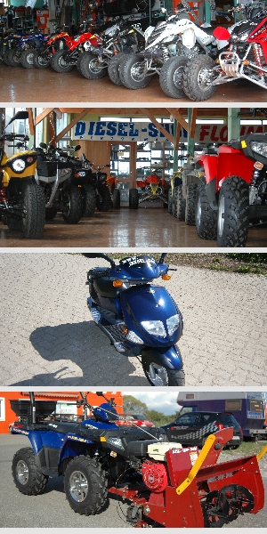 Quad, ATV, Roller, Kinderquad kaufen